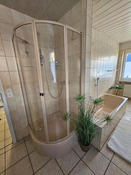 Ferienhaus Distelfink Entspannen In Der Mitte Von Deutschland Gudensberg Extérieur photo