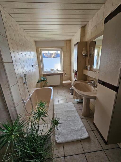 Ferienhaus Distelfink Entspannen In Der Mitte Von Deutschland Gudensberg Extérieur photo